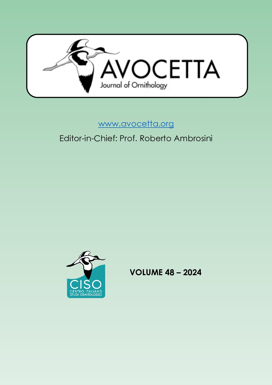 Avocetta cover